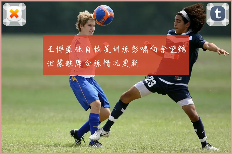 王博豪独自恢复训练彭啸向余望鲍世蒙缺席合练情况更新