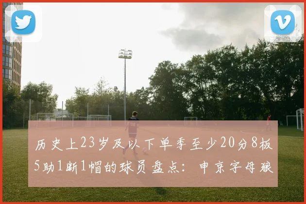 历史上23岁及以下单季至少20分8板5助1断1帽的球员盘点：申京字母狼王等人