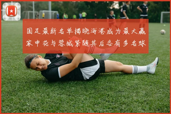 国足最新名单揭晓海港成为最大赢家申花与蓉城紧随其后各有多名球员入选